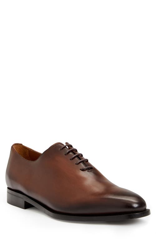 Veleno Wholecut Shoe in Brown