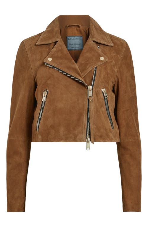 Shop Allsaints Dalby Crop Suede Moto Jacket In Sugar Brown