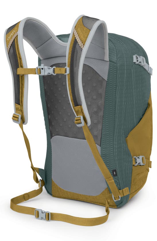 Shop Osprey Nebula 32-liter Backpack In Green Tunnel/ Brindle Brown