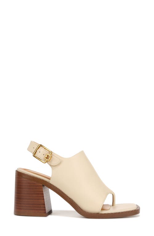 SARTO BY FRANCO SARTO SARTO BY FRANCO SARTO ATLAS SLINGBACK SANDAL 