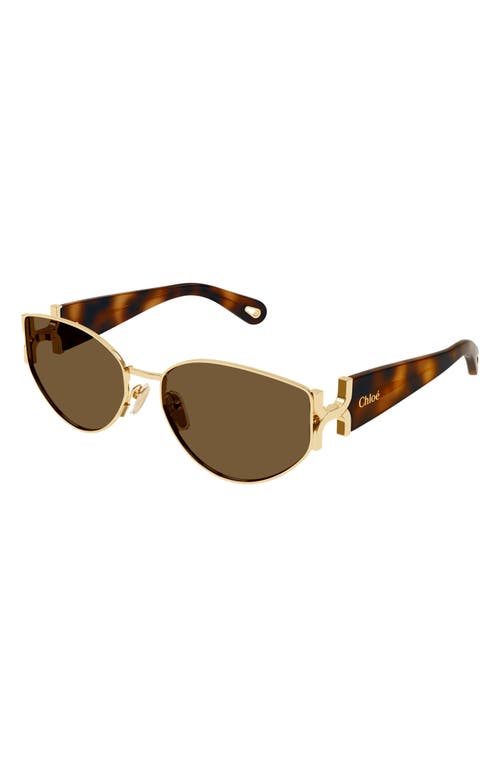 Shop Chloé 59mm Panthos Sunglasses In Gold