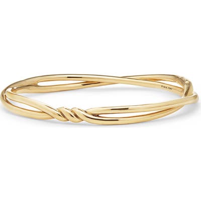 David Yurman Continuance Center Twist Bracelet