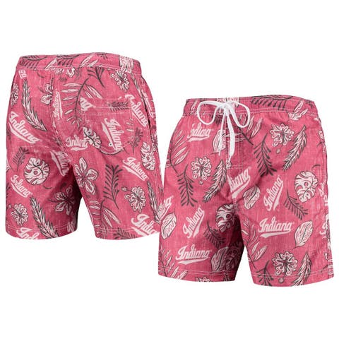 Clemson, Clemson Wes and Willy Men's Cabana Boy Swim Trunk