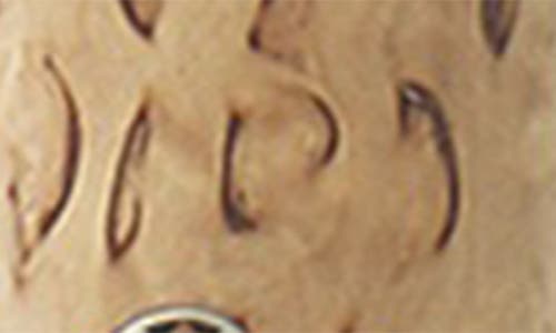 Miyabi Birchwood Sg2 7-inch Rocking Santoku Knife