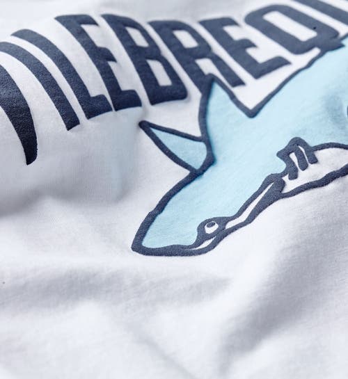 Shop Vilebrequin Kids' Organic Cotton Logo & Sharks T-shirt In White