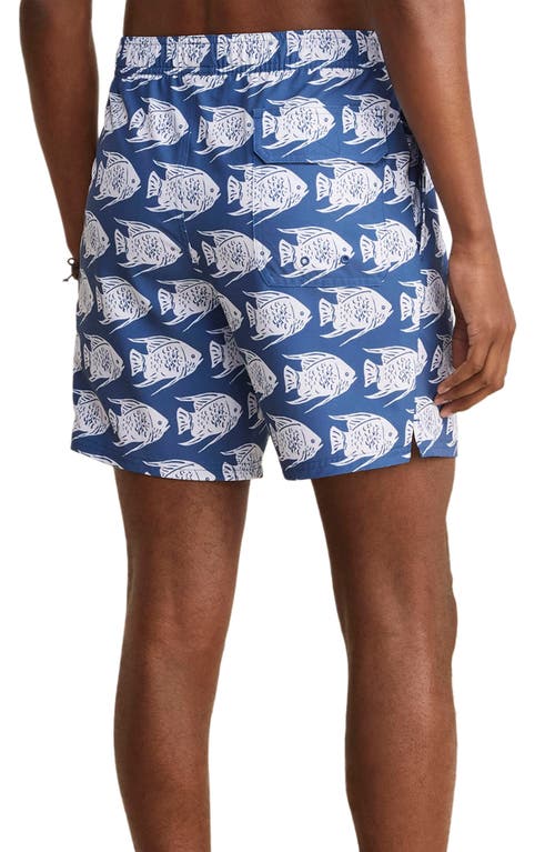 Shop Vineyard Vines 7-inch Chappy Swim Trunks In Blue Fish