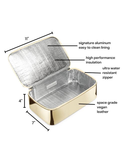 Wellinsulated Performance Travel Case In Gold
