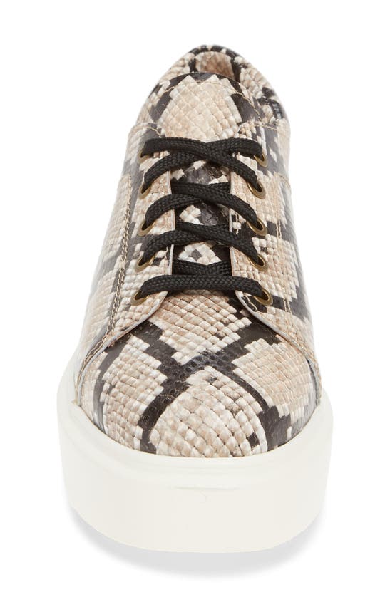Linea Paolo Kendra Platform Sneaker In Beige Snake Print Leather