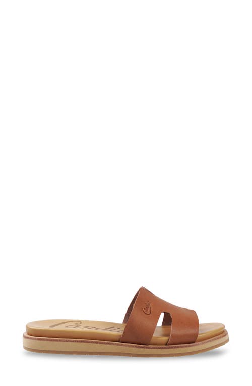 Shop Candies Candie's Mikela Slide Sandal In Cognac