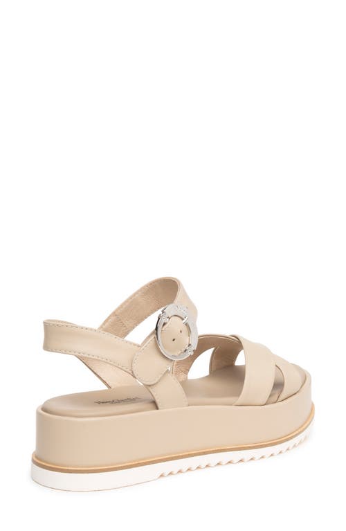 Shop Nerogiardini Ankle Strap Platform Sandal In Beige/khaki