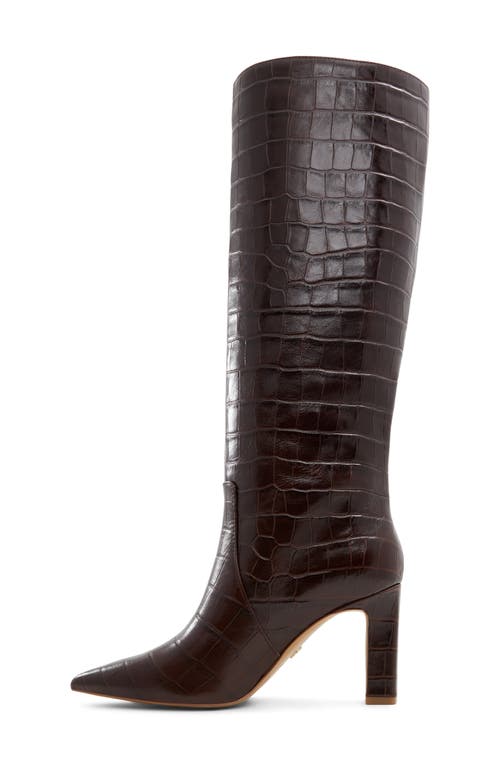 Shop Aldo Cadigoder Pointed Toe Knee High Boot In Dark Brown