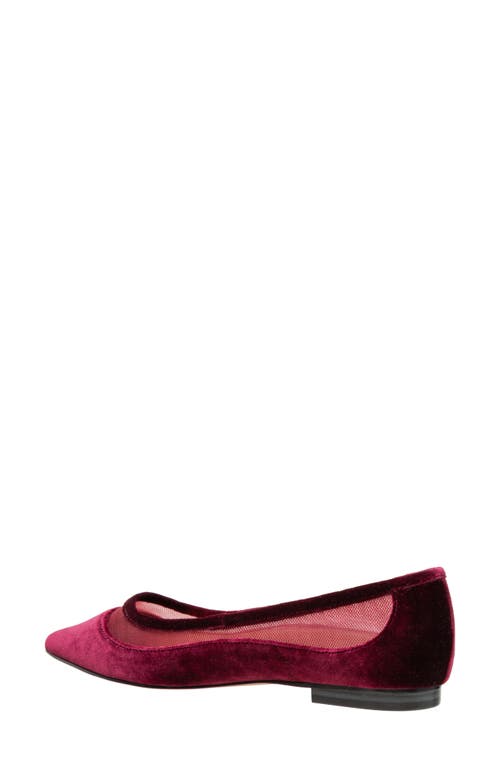 Linea Paolo Novah Pointed Toe Flat In Burgundy