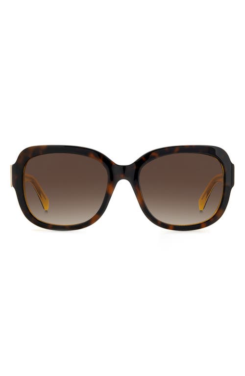 Kate Spade New York laynes 55mm gradient sunglasses in Havana Yellow/Brown at Nordstrom