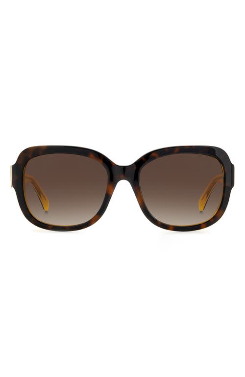 Kate Spade New York Laynes 55mm Gradient Sunglasses In Havana Yellow/brown