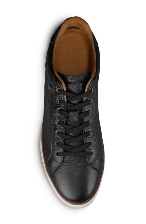 Allen Edmonds Pines Sneaker In Black