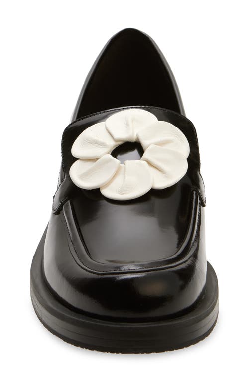 Shop Stuart Weitzman X Sandy Liang Loafer In Black/cream