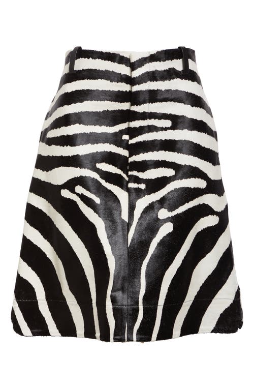 Shop Jacquemus Tozzi Genuine Calf Hair Zebra Skirt In Black And White Zebra