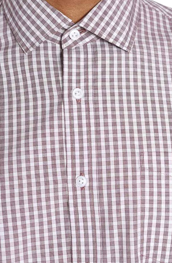 Shop Jachs Hayati Check Cotton Button-up Shirt In Burgundy Plaid