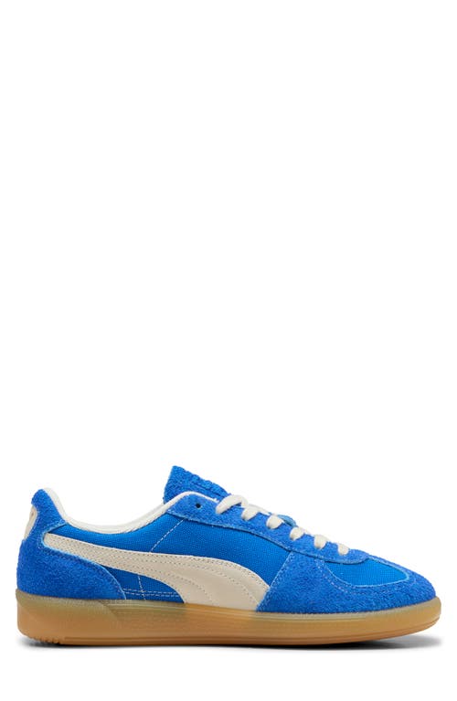 Shop Puma Palermo Sneaker In Hyperlink Blue-frosted Ivory