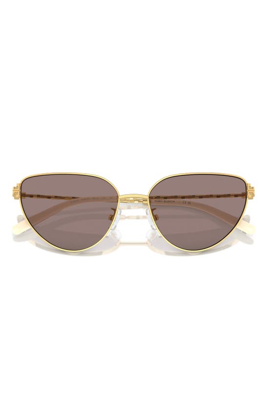 Shop Tory Burch 56mm Cat Eye Sunglasses In Gold