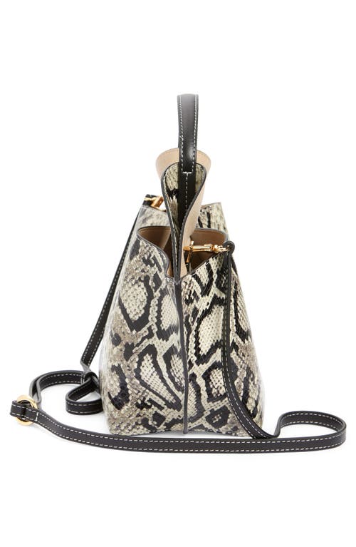 Shop Ree Projects Mini Ann Snakeskin Embossed Leather Tote In Python Black