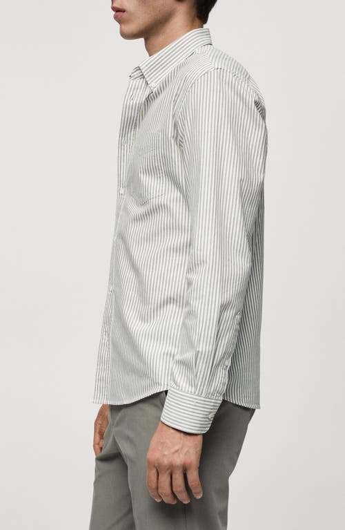 Shop Mango Kodak Stripe Regular Fit Poplin Button-down Shirt<br /> In Khaki