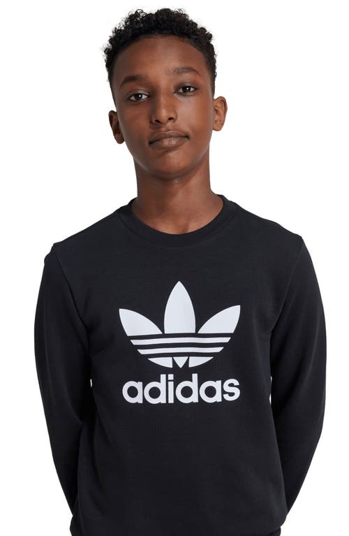 Shop Adidas Originals Adidas Kids' Trefoil Graphic Sweatshirt In Black