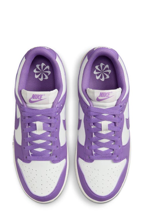 Nike Dunk Low Next Nature Sneaker In Summit White/black Raspberry