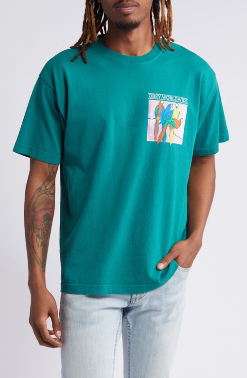 Obey Respect & Protect Graphic T-shirt In Adventure Green