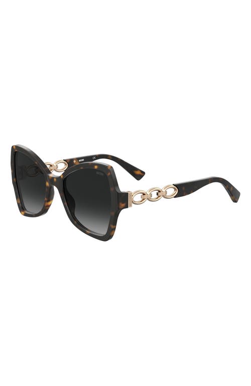 Shop Moschino 54mm Butterfly Sunglasses In Havana/grey Shaded