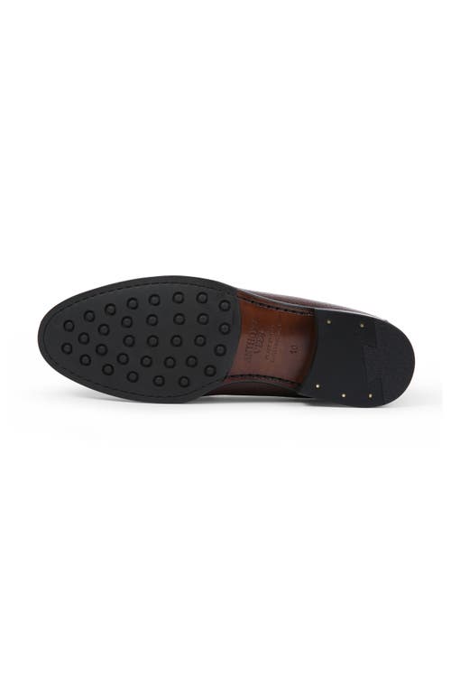 Anthony Veer Lucca Bit Loafer In Dark Brown