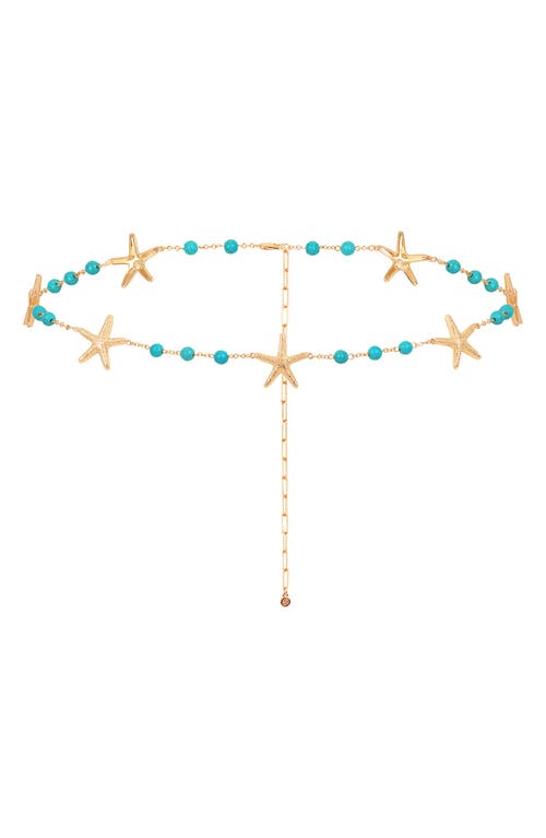 Shop Ettika Starfish & Turquoise Belly Chain