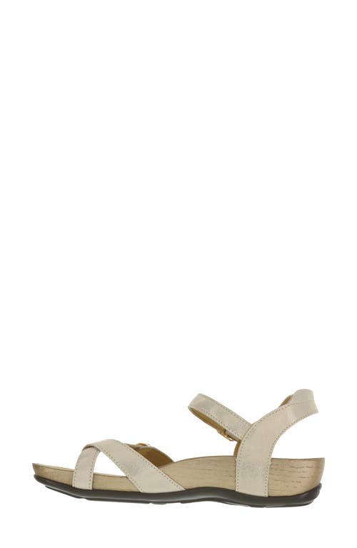 Shop Sas Pampa Wedge Sandal In Soft Gold