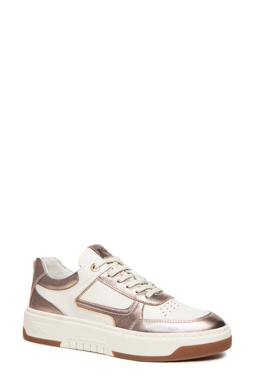 NeroGiardini Clean Retro Sneaker in Ivory/Gold Multi 