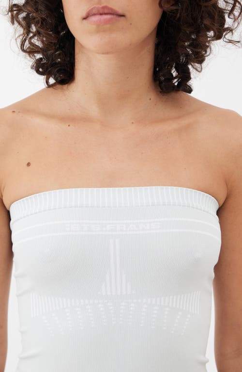 Shop Iets Frans Lara Knit Crop Tube Top In Light Grey