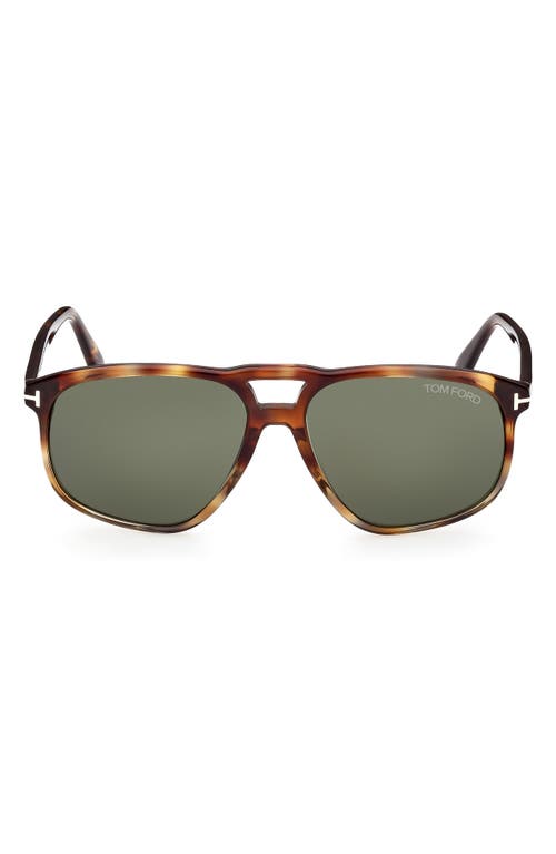 Shop Tom Ford 58mm Navigator Sunglasses In Havana/green