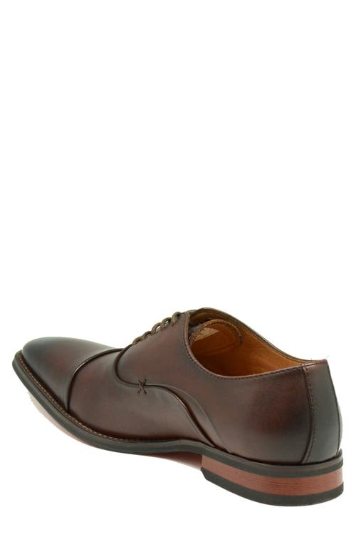 La Milano Winn Cap Toe Oxford In Brown