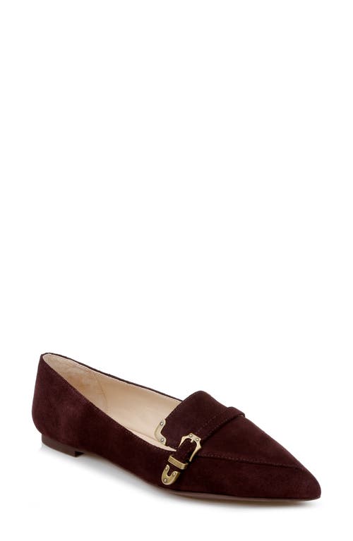 Brielle Pointed Toe Loafer in Chocolate Suede