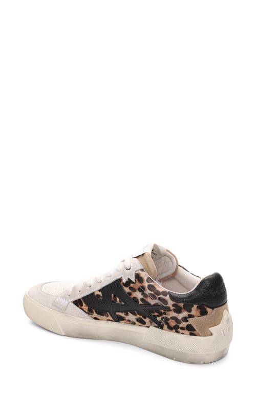 Shop Ash Moonlight Genuine Calf Hair Sneaker In Cheetah Calf Hair