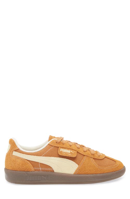 Shop Puma Palermo Sneaker In Caramel Latte-vanilla-gum