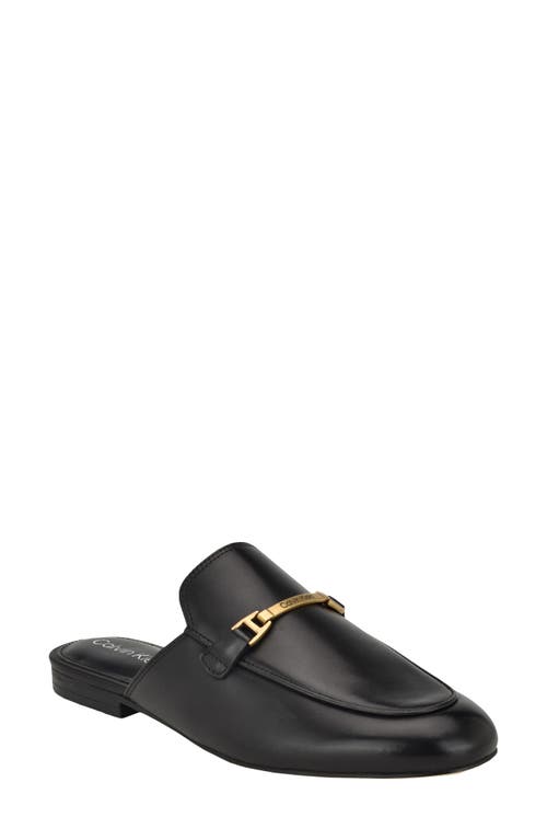 Calvin Klein Sidoll Mule at Nordstrom,