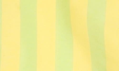 The Sunday Collective Kids' Stripe Play Windbreaker In Green