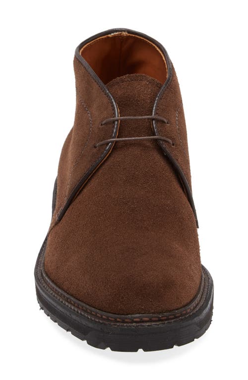 Alden Shoe Company Alden Barrie Chukka Boot In Dark Brown Suede