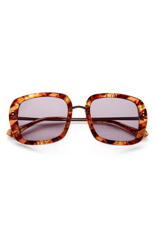 Gemma Styles Baker Street 52mm Square Sunglasses in Tigers Eye