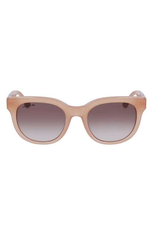 52mm Oval Sunglasses in Opaline Rose