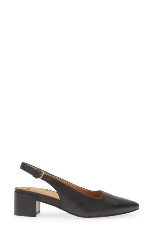 Frankie4 Juliett Iii Pointed Toe Slingback Pump In Black