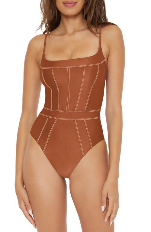 Color Sheen One-Piece Swimsuit in Brown