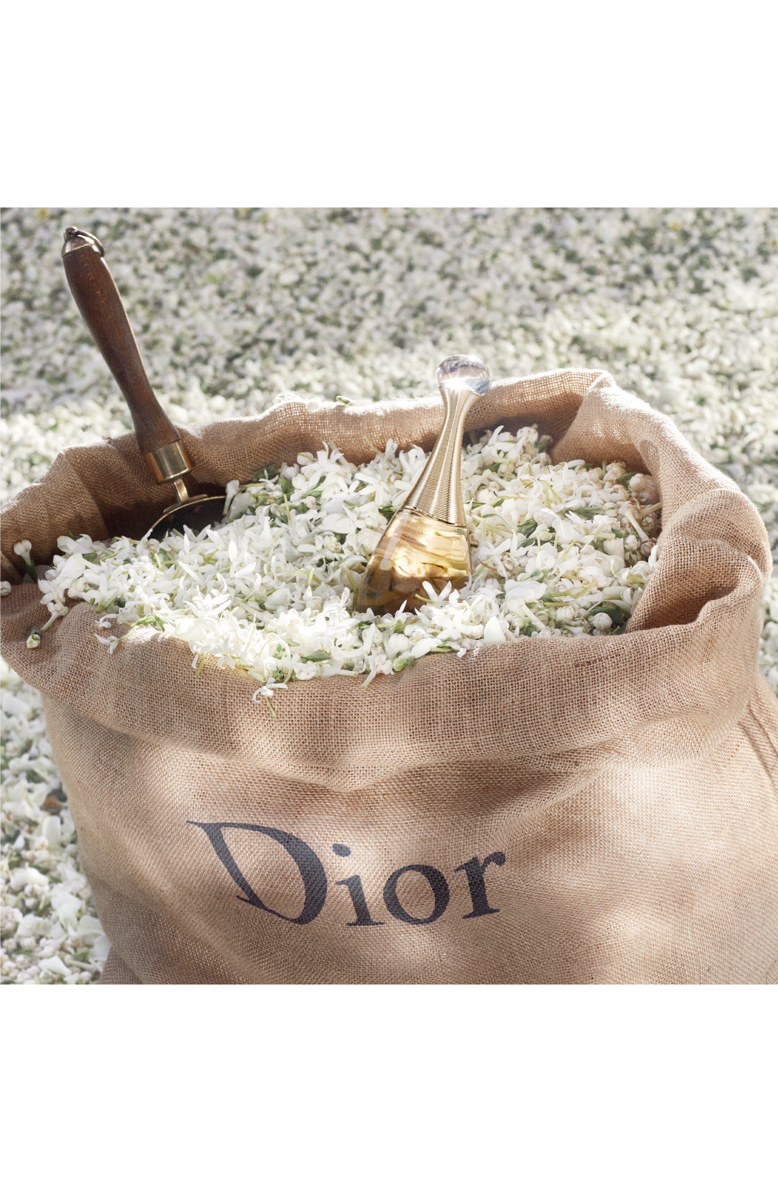 kit jadore dior