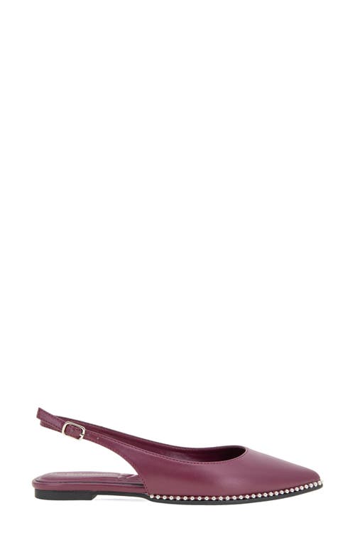 Bcbg Valerie Slingback Pointed Toe Flat In Windsor Wine