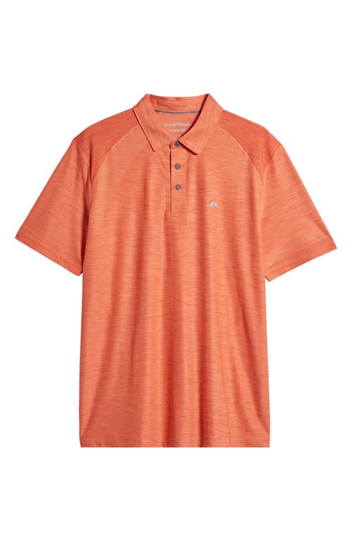 Shop Tommy Bahama Palm Coast Pro Solid Polo In Lava Burst